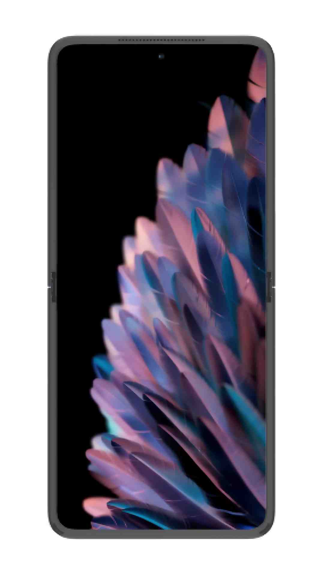 Oppo Find N2 Flip 5G (8 GB|256 GB|India)