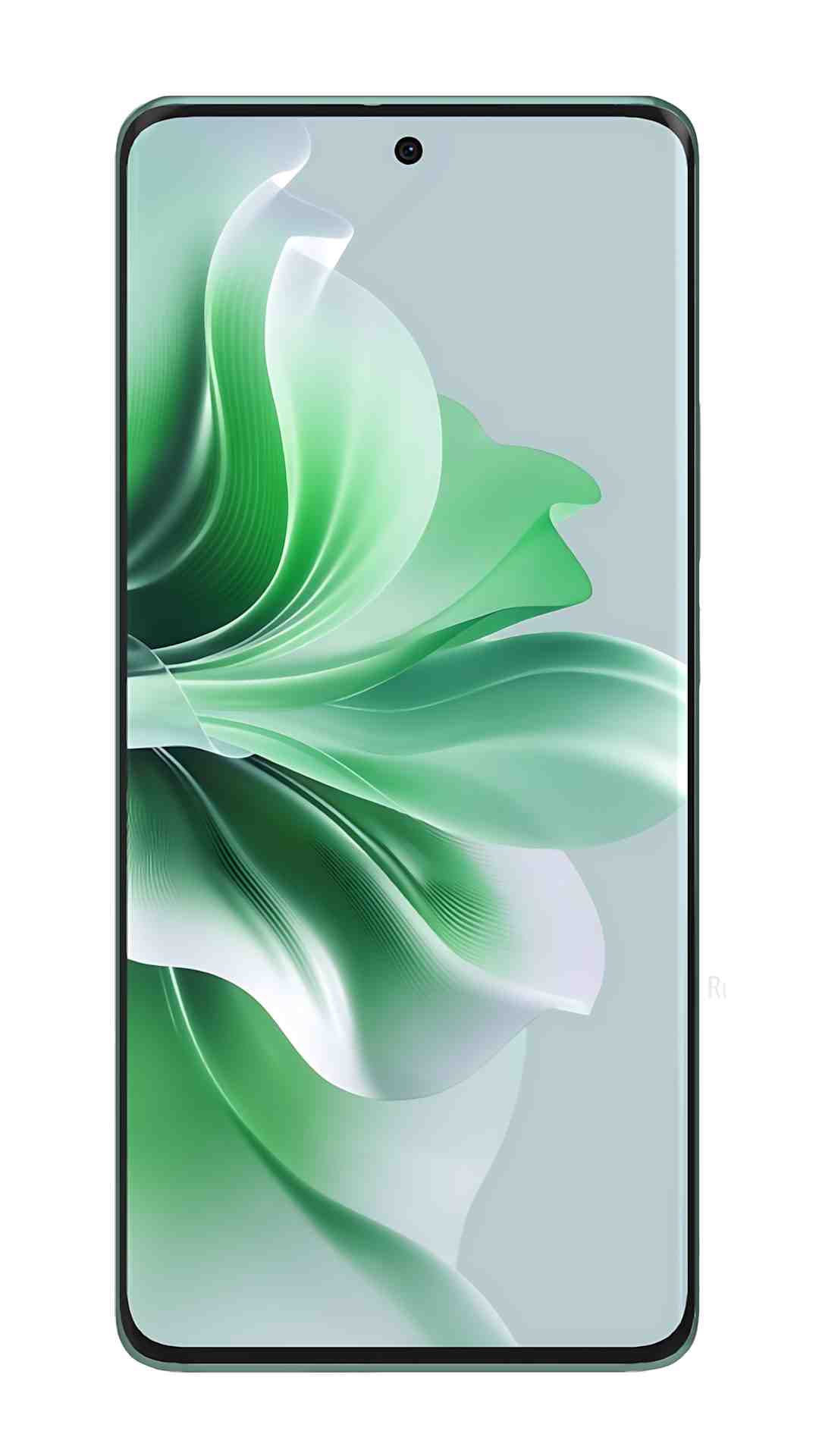 Oppo Reno 11 5G (8 GB|256 GB|India)